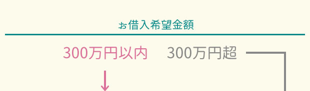 お借入希望金額